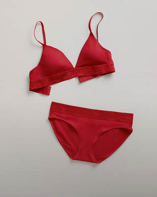 Still life image of a matching red bralette and panty